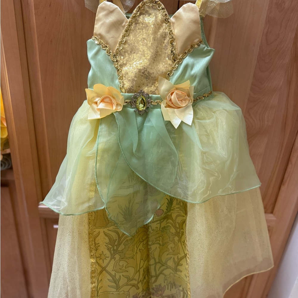 Disney store Tiana dress